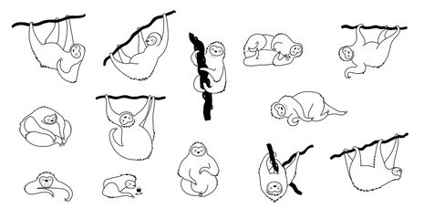 Vector illustration of cute character sloth © pikovit