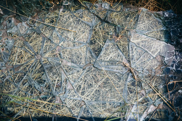 Crashed automobile glass, broken window