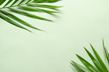 Fototapeta na wymiar Tropical palm leaves on green background. Flat lay, top view minimal concept.