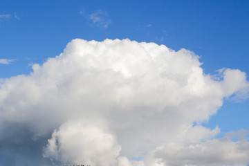 Obraz premium White fluffy clouds against a blue sky,