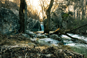 human nature waterfall tree