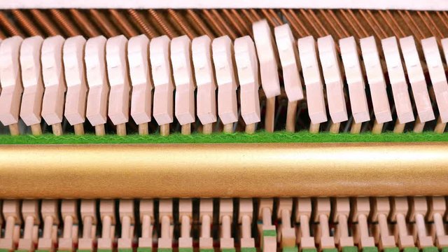 Upright piano hammers playing a chromatic descending scale, with strings in the background