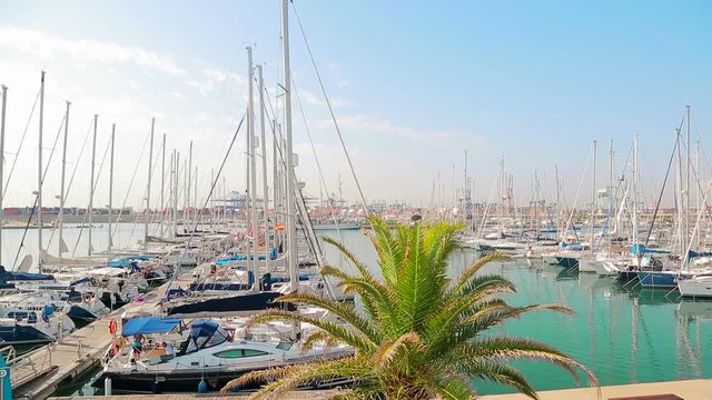 Yacht club Wonderful morning in the valence port. Yachts parked are rocking on waves. Sailboats are parked by the Sea Port