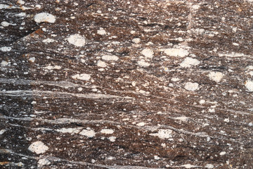 Gneiss stone texture - background
