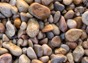 Piedras húmedas variadas en la playa