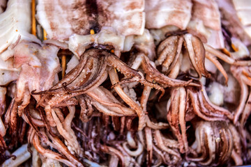 Grilled Squid in the market
