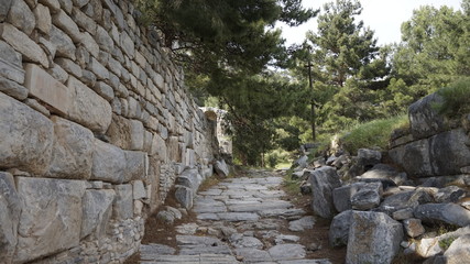 Fototapeta na wymiar Priene ancient city 