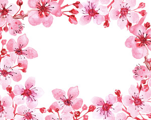 Fototapeta na wymiar Watercolor with a branch of delicate pink flowers, buds and leaves, isolated on a white background. Sakura branch. flower frame. wedding invitation