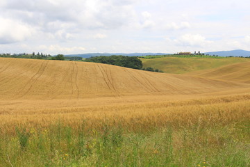 toscana