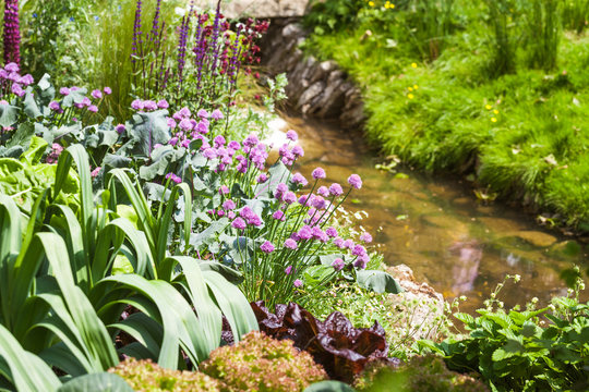 Vegetable patch in a beautiful garden