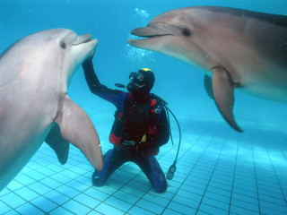 man communicates with dolphins
