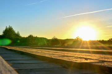 The sun rays of an evening sunset on the background of fabulous wildlife. View of the forest from a wooden road bridge Republic of Belarus. River "Bobr".