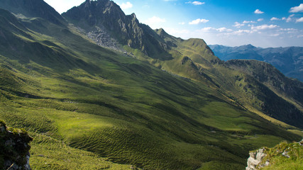 mountain meadow in summer
