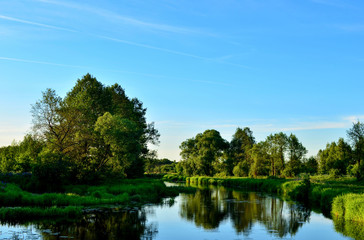 Fototapeta na wymiar The panoramic background of the natural morning sun landscape represents a beautiful ecological system and a view when traveling in the wild. Republic of Belarus, River 