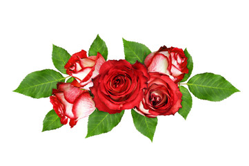 Red and white rose flowers and leaves in a floral arrangement
