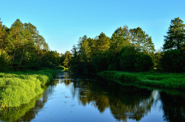 View of the river in the forest area on a summer day. Travel to Belarus, the river Bobr © MaxSafaniuk