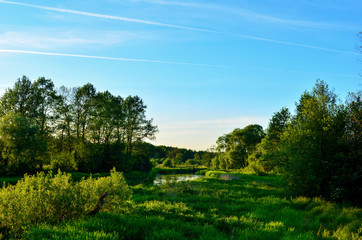 The panoramic background of the natural morning sun landscape represents a beautiful ecological system and a view when traveling in the wild. Republic of Belarus, River "Bobr". © MaxSafaniuk