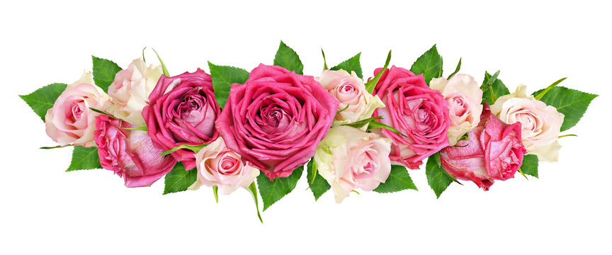 Beautiful pink and white rose flowers in a floral arrangement