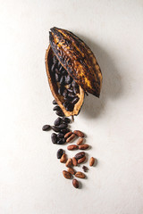 Variety of fresh and dry cocoa beans from cocoa pod over white texture background. Flat lay, space