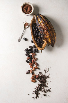 Variety of fresh and dry cocoa beans from cocoa pod with chopped dark chocolate and cocoa powder over white texture background. Flat lay, space