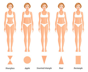 Forms of female body type. Various figures of women. Vector.