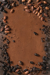 Variety of fresh and dry cocoa beans with chopped dark chocolate over cocoa powder as background. Chocolate concept