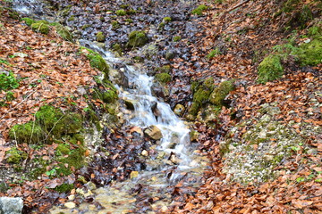 Landschaft Wasser Natur Wald