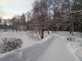 Winter park 