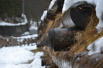 Landschaft Wasser Natur Wald