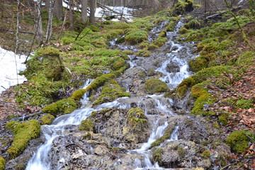Landschaft Wasser Natur Wald