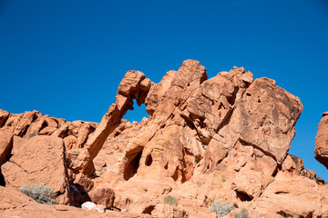 Elephant Rock im Valley of Fire State Park in Nevada, USA