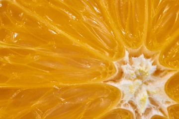 Macro image of ripe orange