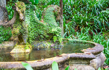 Waterfall nature Madeira