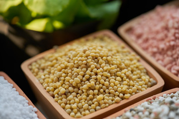 NPK, chemical fertilizers in clay pots 