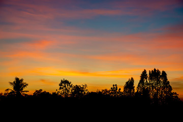 Sunset the evening light through the clouds and  trees.
