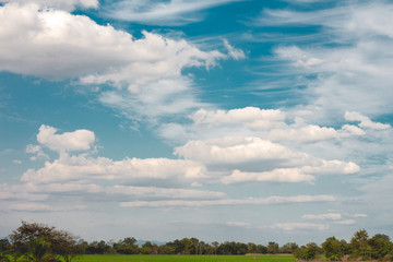 Beautiful Blue sky and cloud with meadow, tree.landscape background for summer.The best view for holiday.