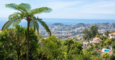 Fototapeta na wymiar Madeira coastline