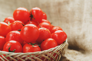Fresh red tomatoes in a wicker basket on an old wooden table. Ripe and juicy cherry tomatoes with drops of moisture, gray wooden table, around a cloth of burlap. In a rustic style.