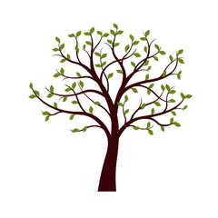 Fototapeta premium Green Tree with leaves on white background. Vector Illustration.
