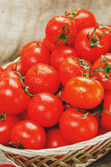 Fresh red tomatoes in a wicker basket on an old wooden table. Ripe and juicy cherry tomatoes with drops of moisture, gray wooden table, around a cloth of burlap. In a rustic style.
