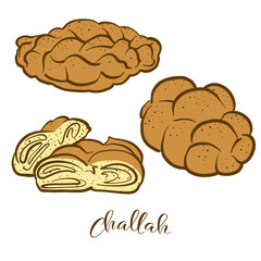 Colored sketches of Challah bread