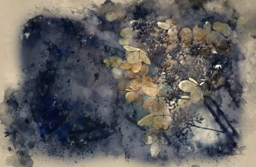 Watercolour painting of Stunning dried hydrangea hortensia flowers cross processed for retro look