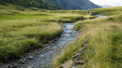 water stream small river on mountain top