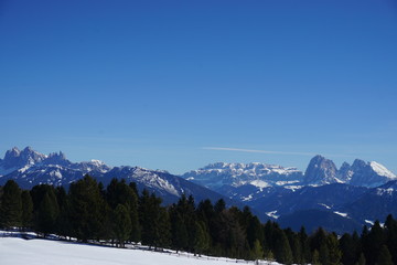 Dolomiti viste dall'Alpe di villandro