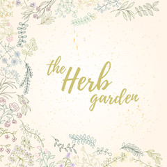 Herb hand drawn card