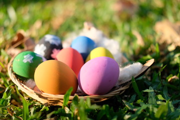 Happy Egg easter on grass