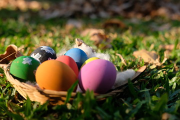 Happy Egg easter on grass