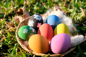 easter eggs in grass