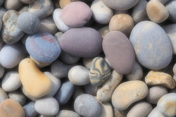 Fototapeta na wymiar Pebbles at Chesil Beach