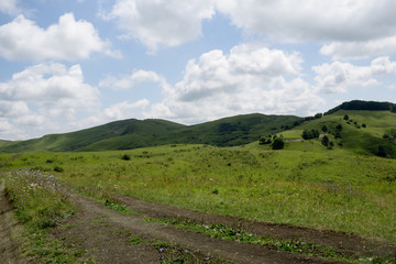 Obraz premium Beautiful green summer landscape with the hills